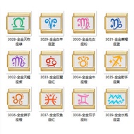 DIY Bracelet All-Gold Module Stainless Steel 12 Constellation Symbols Aquarius Italian Bracelet Bead