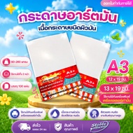 [Express Delivery] Art Card Paper A3+ 90g 105g 130g 160g 190g 210g 230g 260g It's 2 Sides 100 Sheets