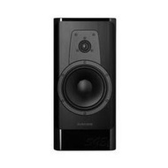 視紀音響 Dynaudio 丹麥 Contour 20 書架型喇叭 2音路 2單體 公司貨 鋼烤黑白