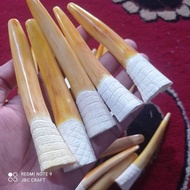 Once Pipa Roko Tarduy Taring Duyung Kw