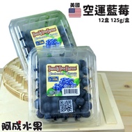 【阿成水果】含豐富的營養 花青素 美國空運藍莓 12盒(125g/盒)