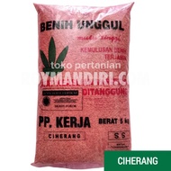 BENIH PADI CIHERANG PPKJ - 5 KG