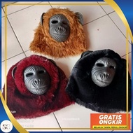Monkey mask lion mask