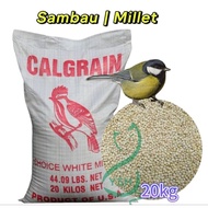 Sambau Burung/White Millet Bird Food 20kg