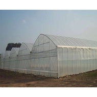 MICRONS 25M protection UV greenhouse rain UV ROOFING  WIDE PLASTIC Plastic 100 garden Sheet