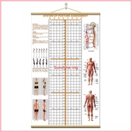 ,, Customized Hanging Posture Assessment Form Evaluation System Image Free Plus logo Difference Re-S