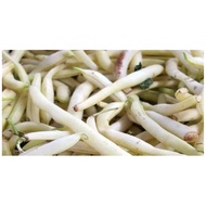 White french bean seed