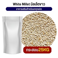 White millet มิลเล็ตขาว อาหารนก หนู กระต่าย กระรอก ชูก้า (25KG)