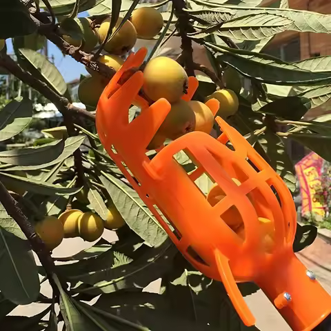 High-Altitude Fruit Picker Loquat Bayberry Picking Tool Bayberry Hand Peach, Plum, Jujube, Winter Ju