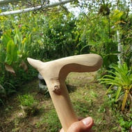 [ 🔥 BORNEO EXOTIC 🌿  ] : NATURE TONGKAT KAYU BIDARA ARAB