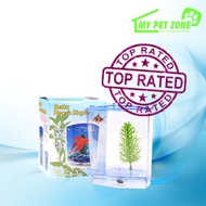 Betta Aquarium / Betta Tank Betta House Single Akuarium Bekas Ikan Laga Fish Tank