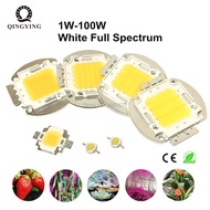 White Full Spectrum LED Chip 6500K & 380-780nm 1W 3W 5W 10W 20W 30W 50W 100W Aquarium Plant Grow Lig