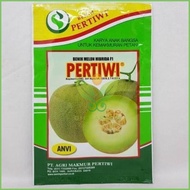 Benih Melon Pertiwi Anvi 13 gr - Bibit Melon Madu pertiwi