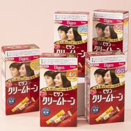 Bigen Silver Hair Dye - Japan 80g