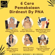 BIRDNEST BNE / BNFR 🕊