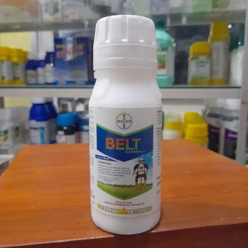 BELT expert 480 sc 100 ml