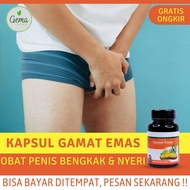 Kapsul Gamat Emas Obat Penis Bengkak - Obat Bengkak Kemaluan Pria Obat Nyeri danGatal di Kemaluan Pr