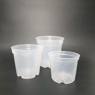 Transparent clear plastic pot 110 4.2 inches planter Diameter 11cm Height 11cm pasu plastik