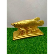 Golden Arowana Fish Statue_Size2