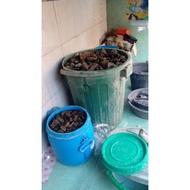 Original BANTEN black opal sempur stone 2 kg