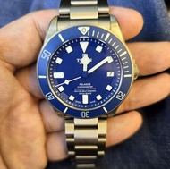 Tudor Pelagos