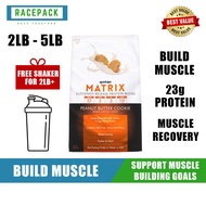 SYNTRAX Matrix 2LB/5LB Protein Powder (Free Shaker + Creatine) | Egg, Casein & Whey