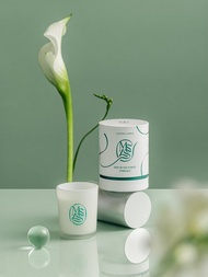 MSLS SCENTED CANDLE 香氛蠟燭