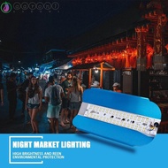 AARON1 Iodine-Tungste Light 6500K 50W 100W Spotlight Refletor LED LED Flood Light Outdoor Lighting W