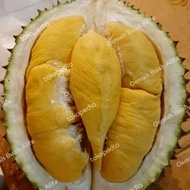 Durian Musang King Utuh/Durian Sultan Malaysia Asli