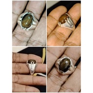 fossil nibong gred A asli alami  ikatan alpaka