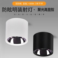 Surface mounted spotlights, anti glare LED ceiling lights, CRI95 ceiling lights, COB downlights, household non main lights