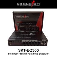 SKELETON PARAMETRIC EQUALIZER Mobil EQ 300 Output & KARAOKE