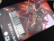 METAL BUILD DRAGON SCALE 紅蓮聖天八極式