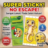No Escape for Lizards ML Lizard trap Lizard killer  10pcs Lizard trap glue Cicak repellent Gecko rep