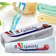 DxN Ganozhi Plus Toothpaste 150g