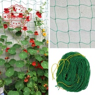 Garden Plant Climbing Net Cucumber Vegetables Trellis Mesh Green Plastic Net Garden Support P9i2