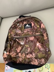 日本入男女啱用 Gregory backpack about 24L 返工背包返工背囊返學背包返學背囊旅行背囊旅行背包 office backpack travel backpack 登山毅行者越野跑