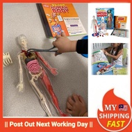 **Post next day** 🔥[English Edition]🔥Smartlab Squishy Human Body  ❗Must buy❗ Children Learning Science❗