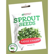 ♞Ramgo Radish Kaiware Sprouting Microgreens Seeds