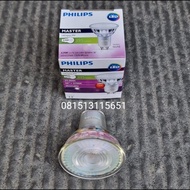 Philips GU 10 4.9w 36 2700k Quality