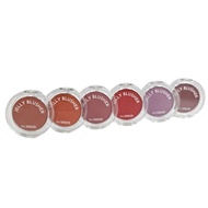 [the SAEM] Jelly Blusher 4.5g / 6 Colors