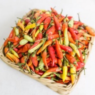 MERAH Chili | Super Spicy Red Cayenne Pepper 200 Grams