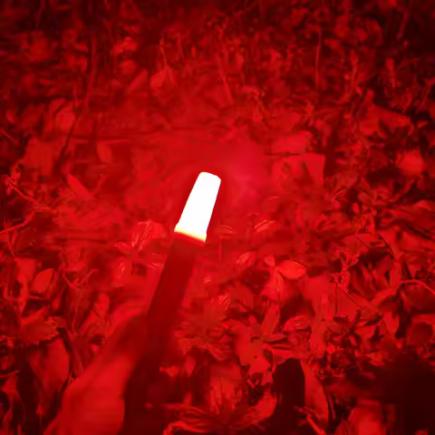 Convoy Red Diffuser for S2 Plus S3 S6 S8 S15 Flashlight
