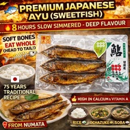 JAPAN Delicious Sweeten Ayu Fish (Numata City)