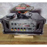 D10 II Display Power Amplifier Assembly