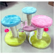 Cat scratching post - Cat scratching post