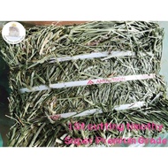 Timothy Grass 1 cutting Size 5 kg.