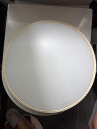 Philips 飛利浦 LED 吸頂燈 31815