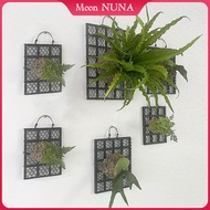 Moon NUNA Fern Board Mounting Board Decorative Hanging Plant Board