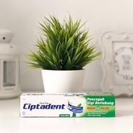 Pasta Gigi Ciptadent 190gr